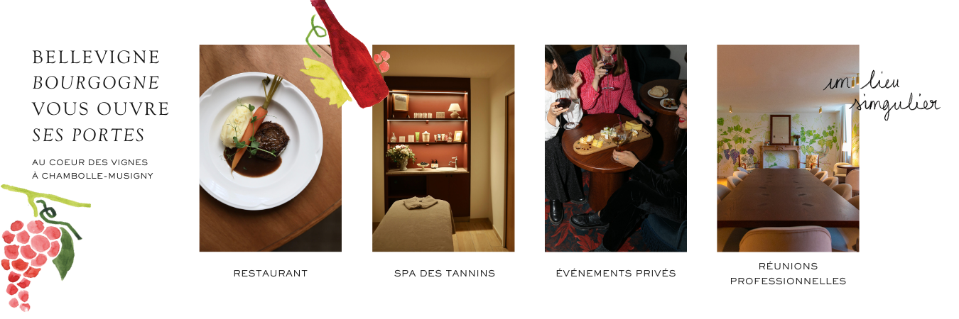 Boutique Bellevigne Bourgogne Htel | Restaurant | Caves & Spa - Cte-d'Or