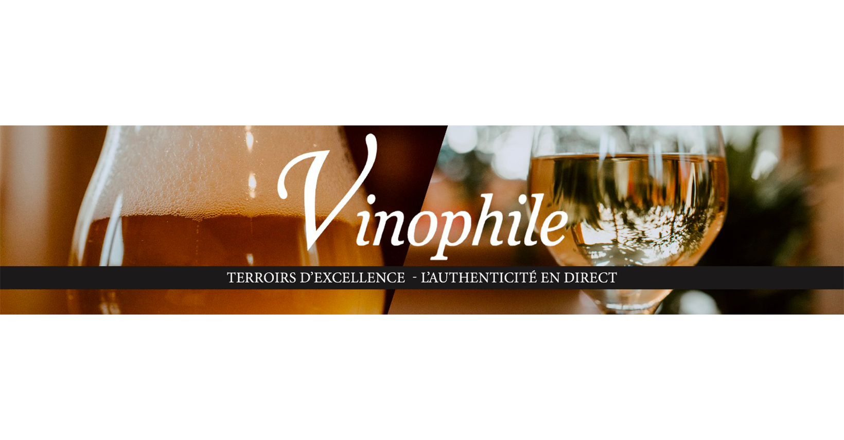 Boutique VINOPHILE - Côte-d'Or