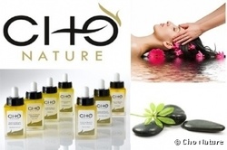 Cure massage visage chinois  - ART DES SENS - CONCEPT STORE Bio & Bien-tre
