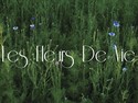LES FLEURS DE VIC - Gers