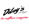 DILOY'S - Auch
