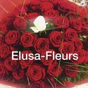 ELUSA-FLEURS - Gers