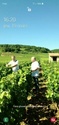 NAUDIN JEAN MARC - Gevrey Nuits Commerces