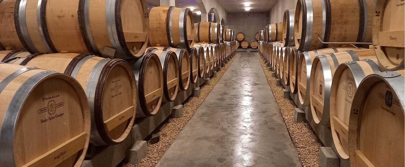 Boutique Domaine Philippe Gavignet - Gevrey Nuits Commerces