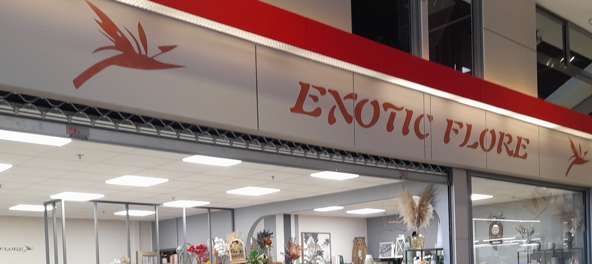 Boutique EXOTIC FLORE - Gevrey Nuits Commerces