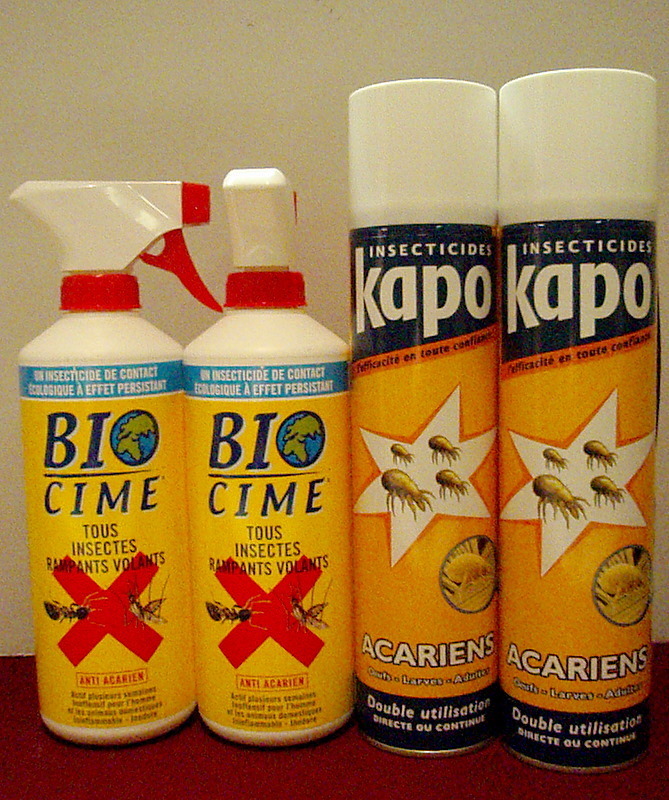 Cafards & Blattes Kapo Choc, Achat Anti Cafard, Acheter Insecticide 