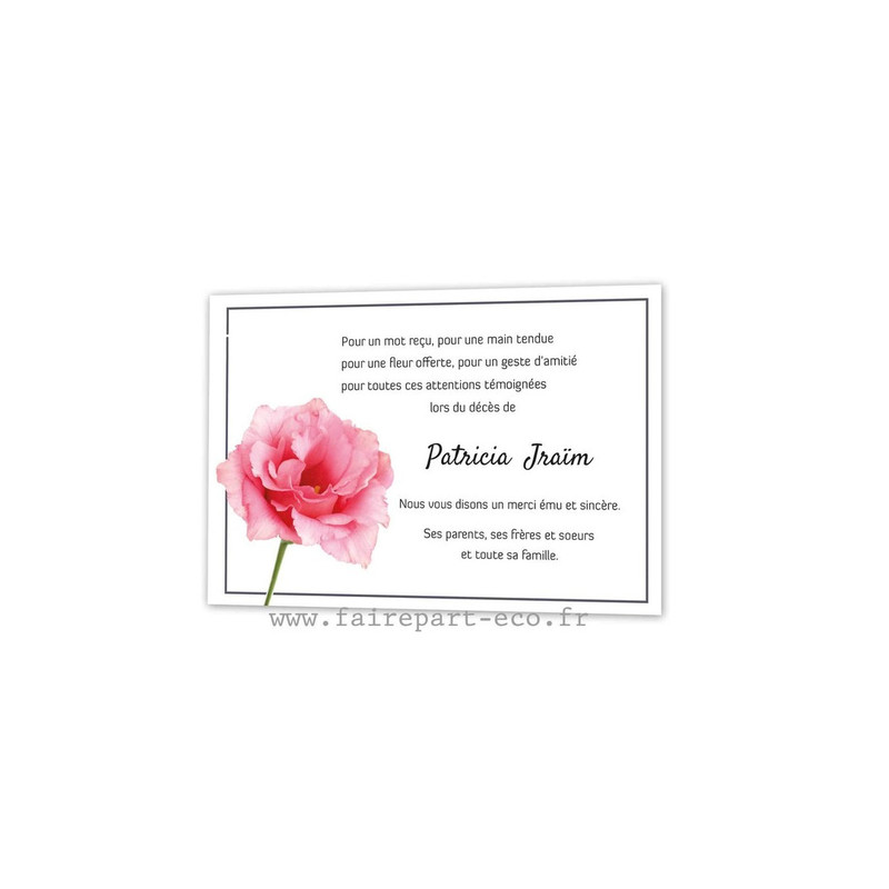 Carte remerciement décès, condoléance, fleur Rose en bouton - Amalgame  imprimeur-graveur