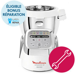 R�paration Companion HF8 Moulinex - Grenoble - MENA ISERE SERVICE - Pi�ces d�tach�es et accessoires �lectrom�nager