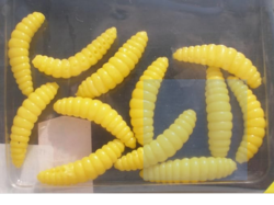 HONEY WORM NOMURA 0.8" 2CM - AVENIR P�CHE 38