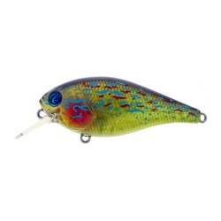 BIGGIE POPPA RIVER2SEA - AVENIR PECHE 38