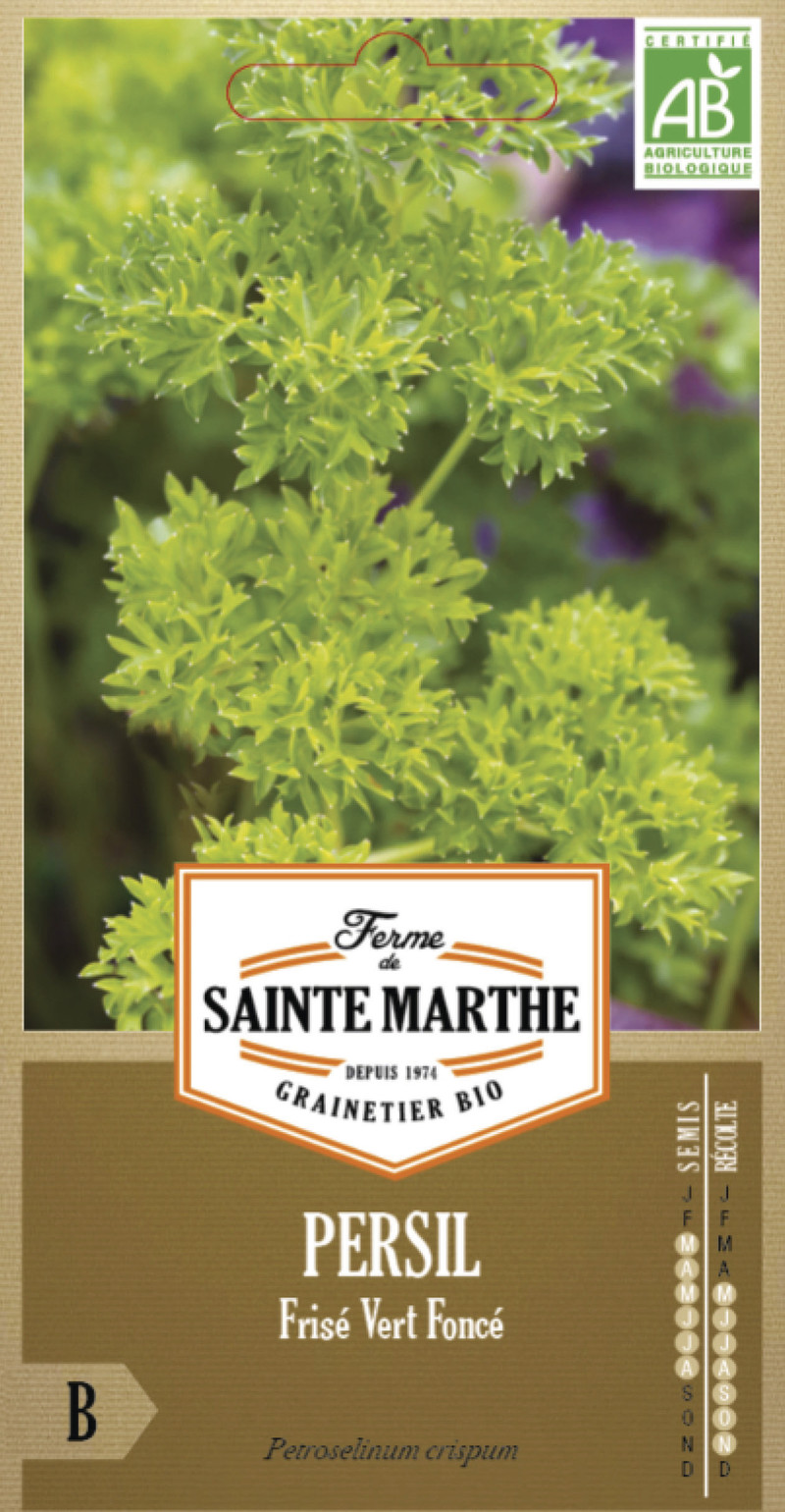 Graines De Persil Bio ZenGreens – Faciles à Cultiver, Haute Germination, Emballage éco-responsable