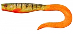 ILLEX Dexter Eel 210 - AVENIR PECHE 38