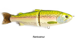 STATAM NEDD2FISH TRUITE - AVENIR P�CHE 38