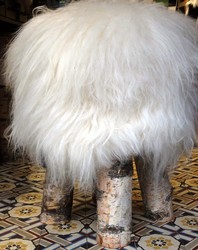 Tabouret Bouleau - La Petite Boutique