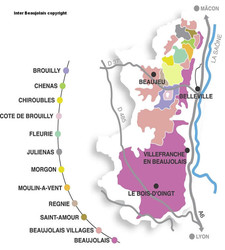 les crus du beaujolais - Cave à vins Hoche