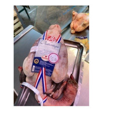 poulet fermier "L'AUTHENTIQUE" - MAISON DUFAYS