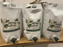 Sve de bouleau - Le Comptoir de Dame Nature
