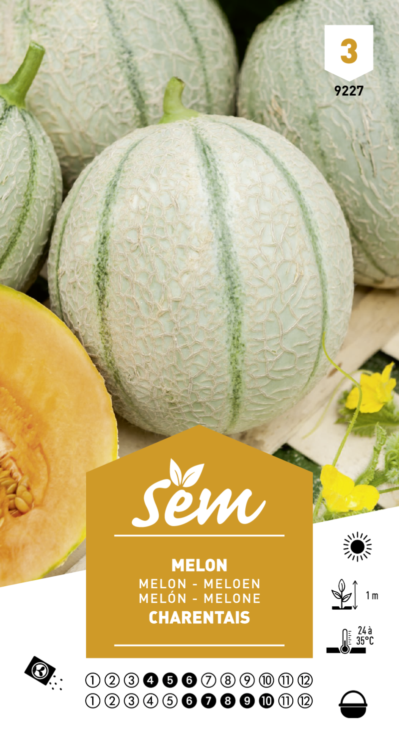 melon charentais sem graine semence potager sachet semis - Voir en grand