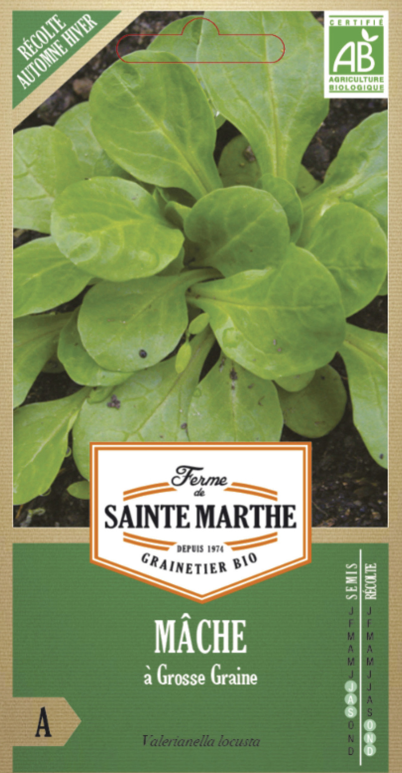 Graines De Mâche à Grosse Graine - Sachet De 4g (environ 1400 Graines), Légume Feuille Goût Noisette