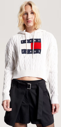 TOMMY JEANS Sweat Capuche Maille CENTER FLAG - JAMES