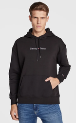 TOMMY JEANS Sweat Capuche LINEAR HOODIE - JAMES