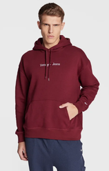 TOMMY JEANS Sweat Capuche LINEAR HOODIE - JAMES
