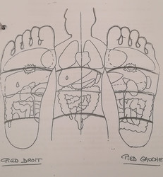 Rflexologie Plantaire  - Anjaneya Yoga & Massages