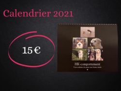 Calendrier 2021 - HK-comportement
