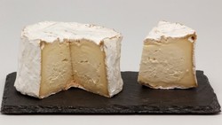 Chaource - PALAIS DU FROMAGE