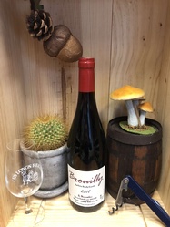 Domaine Descombes - Brouilly 2019 - LES LONGS REAGES