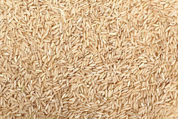 Riz complet Basmati - Pakistan - O BIO