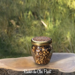 Pain d'Abeilles (Pollen Lactoferment) Dshydrat de Sucy - Rucher du Clos Pacot - Miel Pollen et produits de la ruche de Sucy en Brie - Val de Marne 94