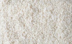 Riz long blanc - France - O BIO