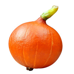 Potimarron - France - O BIO