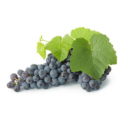 Raisin Noir - France  - O BIO