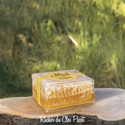 Miel en Rayon de Sucy en Brie - Rucher du Clos Pacot - Miel Pollen et produits de la ruche de Sucy en Brie - Val de Marne 94