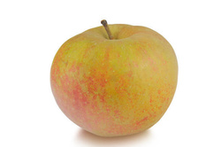 Pomme Reinettes - France - O BIO