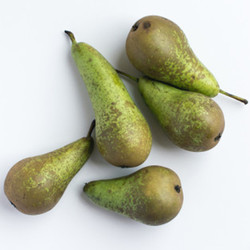 Poire guyot - France  - O BIO