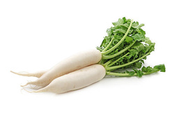 Radis Blanc - France  - O BIO