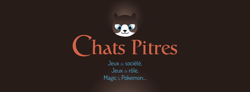 Chats Pitres A Albi Achat Tarn