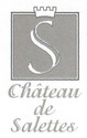 HOTEL CHATEAU DE SALETTES